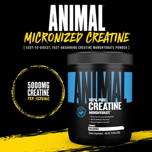 Creatine Monohydrate Powder - Micronized Creatine for Women and Men, Supports Muscle Growth, Strength, Endurance, Recovery and ATP Production, Gym & Workout Supplements - Unflavored, 500G