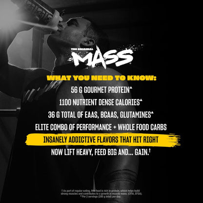 Mass | Weight Mass Gainer Protein Powder - High Calorie Protein Powder for Mass Gain - Triple Chocolate - 5 Pound