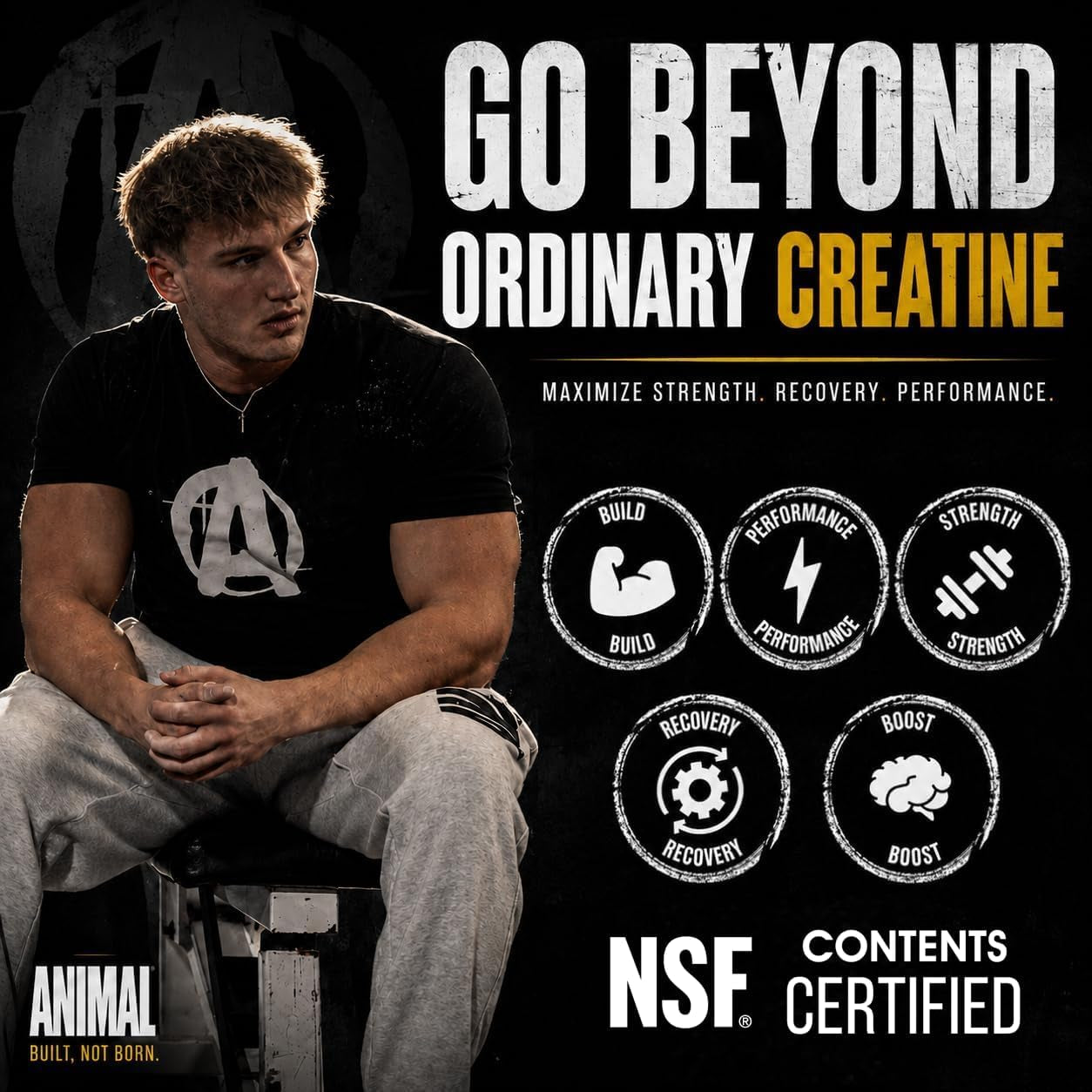 Creatine Monohydrate Powder - Micronized Creatine for Women and Men, Supports Muscle Growth, Strength, Endurance, Recovery and ATP Production, Gym & Workout Supplements - Unflavored, 500G