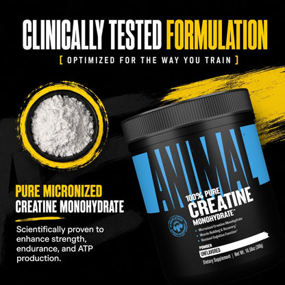 Creatine Monohydrate Powder - Micronized Creatine for Women and Men, Supports Muscle Growth, Strength, Endurance, Recovery and ATP Production, Gym & Workout Supplements - Unflavored, 500G